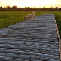 A friend came to watch the sunset with us