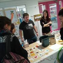 Study Abroad at the University of Bordeaux 