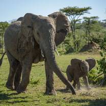 Expedition: Kenya
