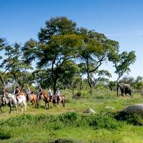 Expedition: South Africa & Mozambique 