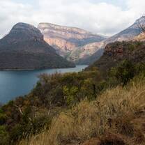 Wildlife Photography & Conservation in South Africa