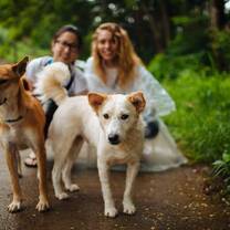Spend time walking dogs