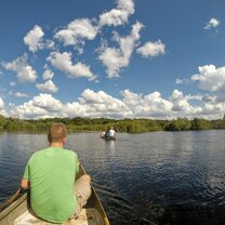 Chimpanzee Sanctuary & Wildlife Orphan Care in Zambia Chimpanzee Sanctuary & Wildlife Orphan Care in Zambia