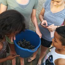 Hatchlings!
