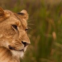 Expedition: South Africa & Mozambique