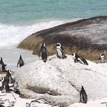 Expedition South Africa - Discover Cape Town and the Garden Route