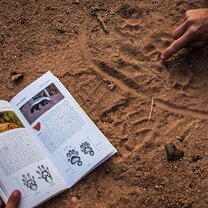 African Big 5 & Wildlife Conservation in South Africa African Big 5 & Wildlife Conservation in South Africa