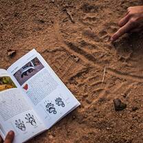 African Big 5 & Wildlife Conservation in South Africa