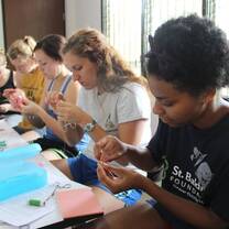 Practice veterinary skills for companion animals