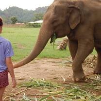 Volunteering at elephant sanctuary