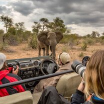 African Big 5 & Wildlife Conservation in South Africa African Big 5 & Wildlife Conservation in South Africa