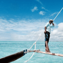 Dolphin Research & Marine Conservation in Zanzibar