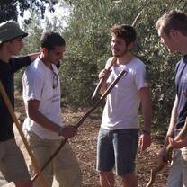 Yachad GAP Year in Israel 
