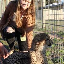 Cheetah Outreach in Somerset West, Cape Town metropolitan area
