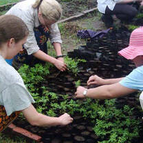 Volunteer in Ecuador