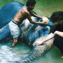 Volunteer in Sri Lanka