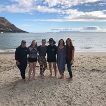 Beach - Gordon's Bay