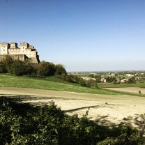 Lamoretti Vineyard