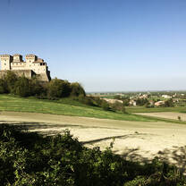 Lamoretti Vineyard