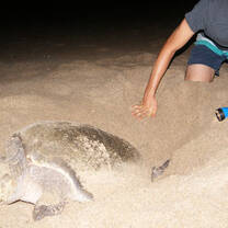 Volunteer in Mexico