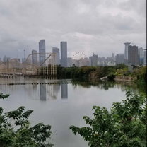 City views 