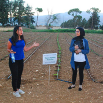 Internships in Lebanon at Issam Fares Institute 