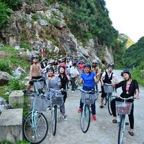Blue Dragon Volunteers 