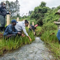 Wetlands in Kenya