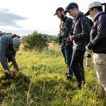 Tracking animals in Naboisho