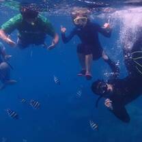 snorkel trip