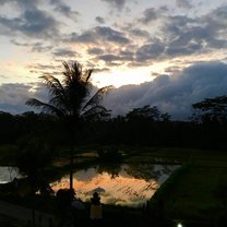 Bali