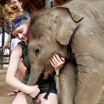 2 month old Nikel, in Elephantsworld in Kanchanaburi, Thailand