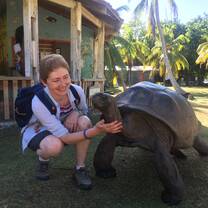 Giant Tortoise - Curieuse