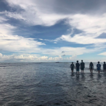 Picture of the beach and my group