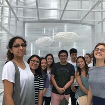 University of Texas at Austin Shanghai Internship Program Students