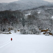 Hike through Moravian Forest 