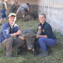 Volunteers may occasionally have an opportunity to partake in an event with a vet