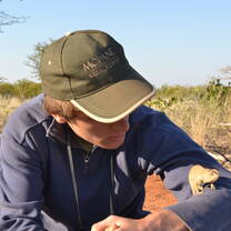 Volunteers can get close and personal with some wildlife, here a chameleon