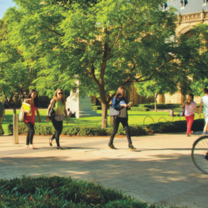 Semester in Adelaide - Wine Studies at the University of Adelaide