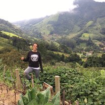 At the garden organic farming garden