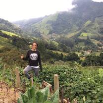 organic farming garden 