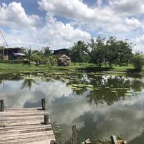 Rice fields base