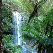 Russell Falls Russell Falls