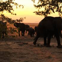 Liwonde National Park