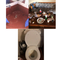 Photos from The Great Projects "cottage"