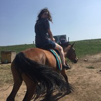 horse