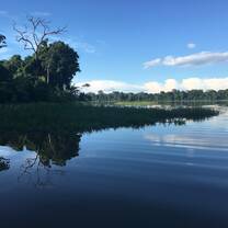 New horizons