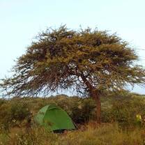 Tent and Volunteer at Sadhana Forest Kenya