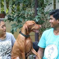 Animal Mama Intern Program Cambodia