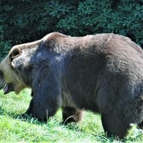 Feeding time